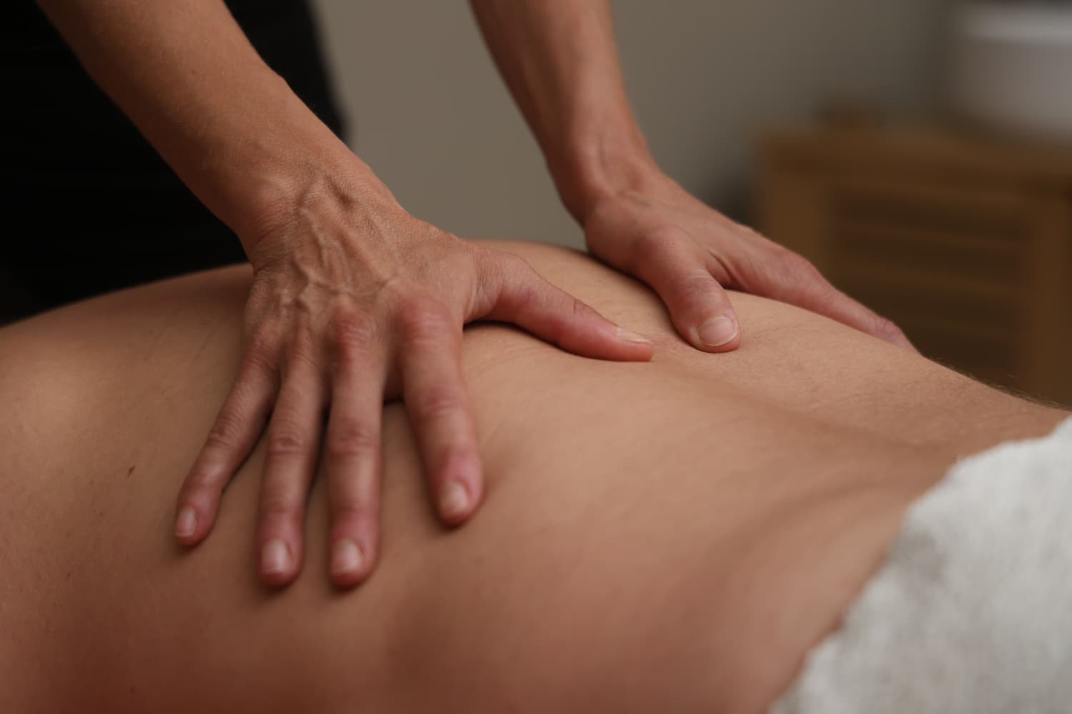 Les Jardins de la Longagne, chambres et table d'hôtes près d'Albi (Tarn) - Service Massage